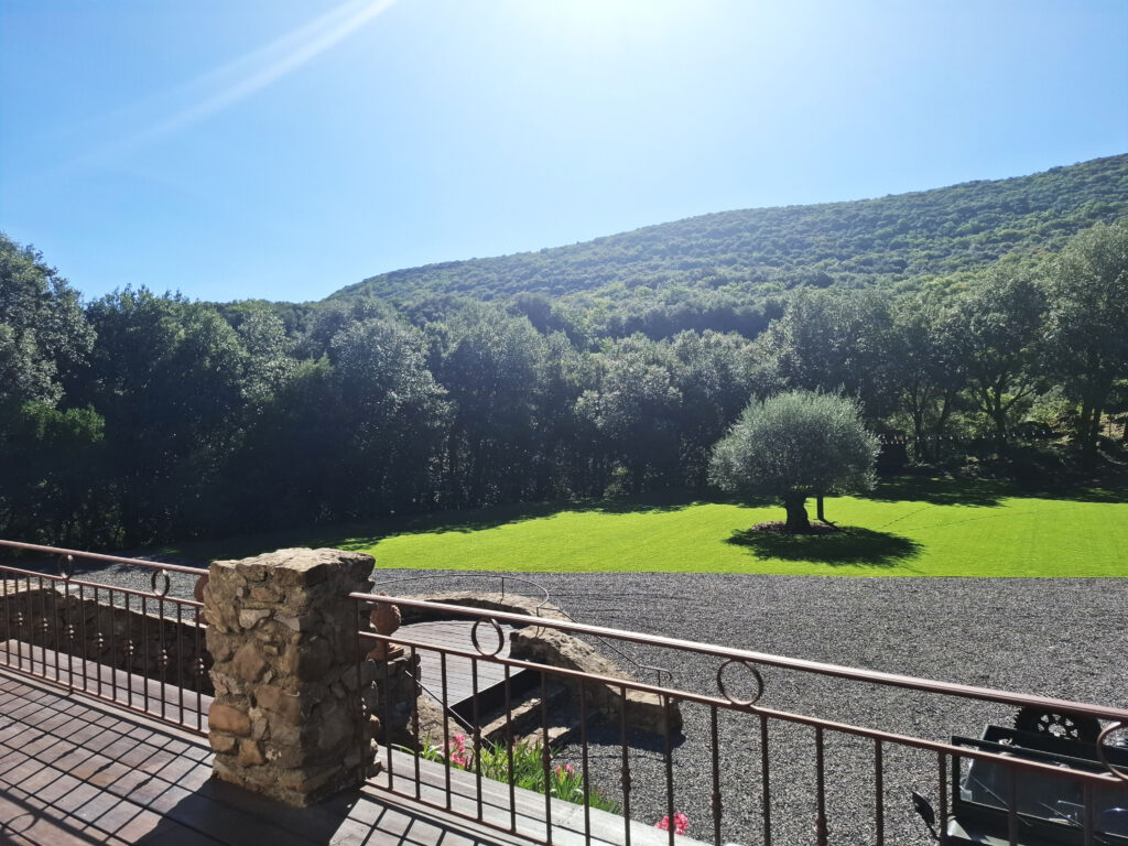 Vue sur le parc du Mas La Solarie avec olivier et collines des C&eacute;vennes, lieu de mariage et r&eacute;ception