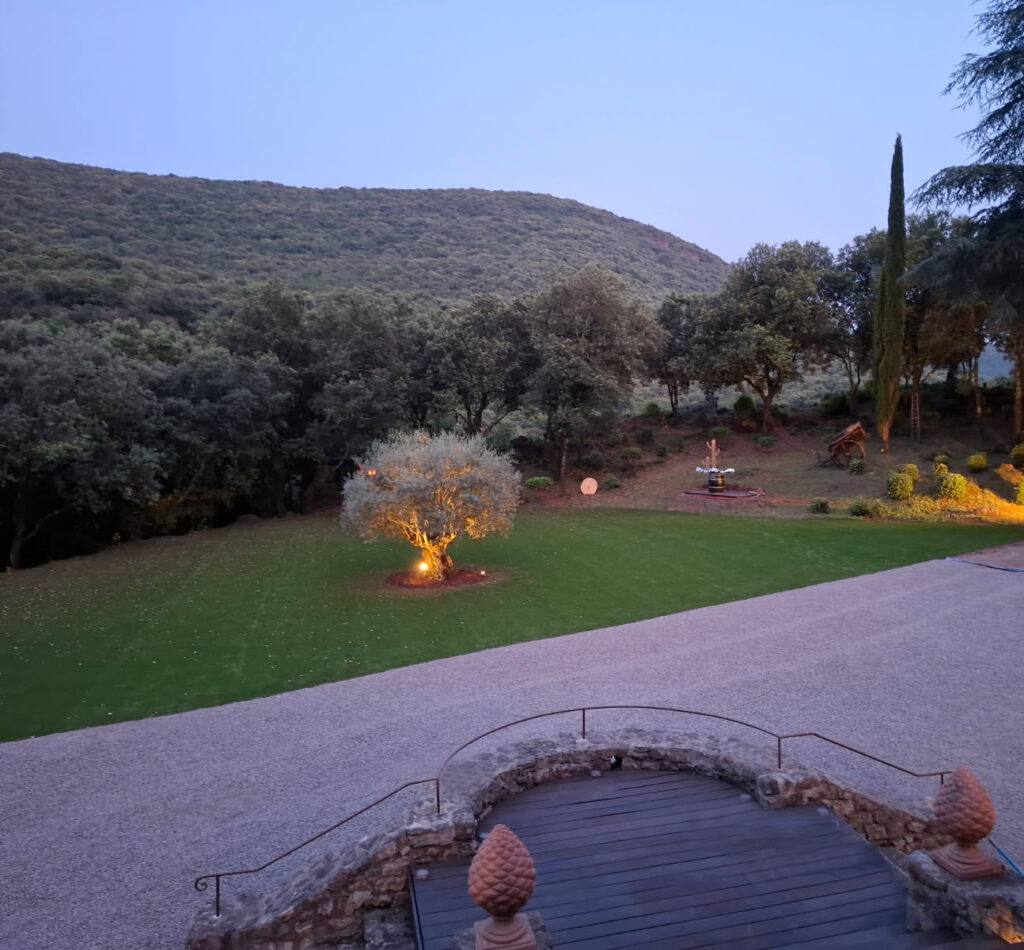 Olivier illumin&eacute; au cr&eacute;puscule dans le jardin du Mas La Solarie, lieu de r&eacute;ception dans les C&eacute;vennes