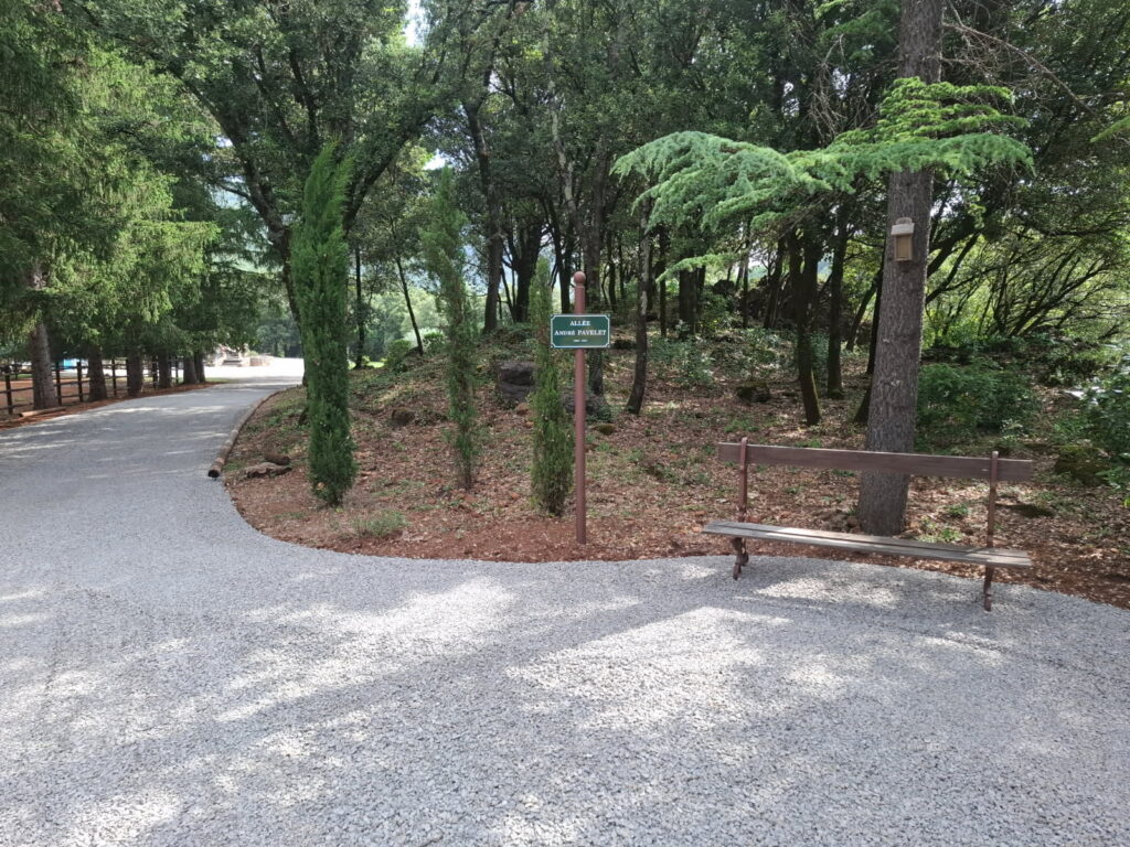 Chemin en gravier bord&eacute; d&rsquo;arbres avec banc en bois au Mas La Solarie