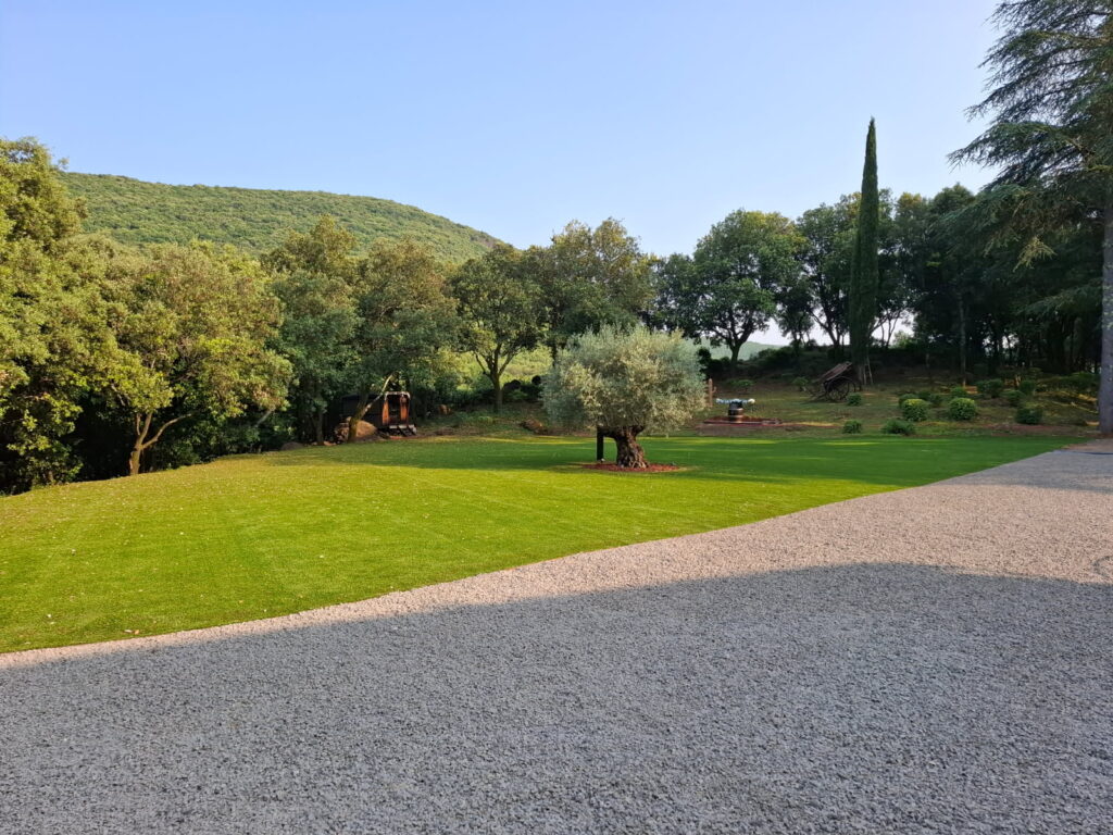 Olivier centenaire dans le jardin du Mas La Solarie, lieu de r&eacute;ception au c&oelig;ur des C&eacute;venne